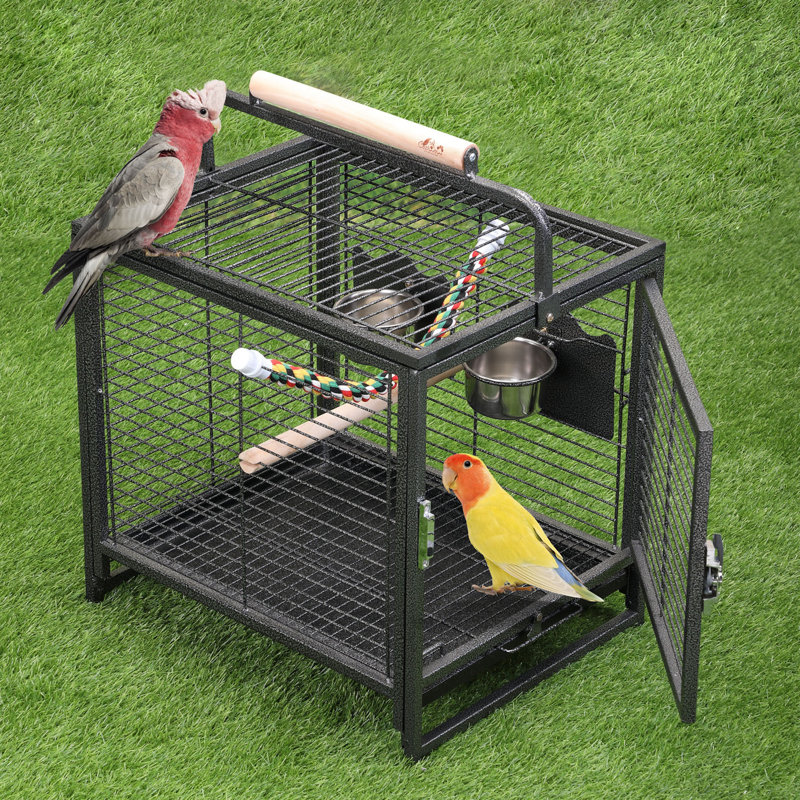 Jaxpety Protable Play Top Table Top Iron Bird Cage With Removable Tray Wayfair.ca
